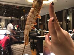 -壹号港湾