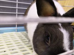 -UltraForce超源健身私教工作室(长楹天街精品店)