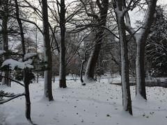 -北海道厅旧本厅舍(旧本庁舎)