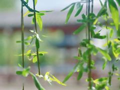 -盛世南宫影视城(北普陀影视城)