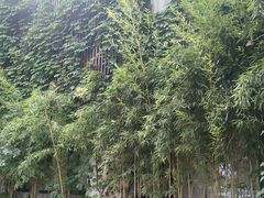 -溪畔•新徽菜(碧湖云溪店)