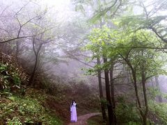 -莫干山风景区