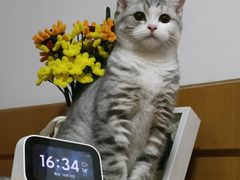 -贝康宠物医院·犬猫全科·小动物特色诊疗中心(东环路店)