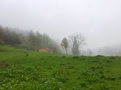 -武陵山森林公园