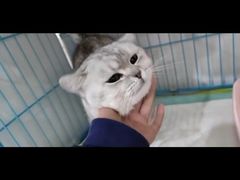 -萌兽医馆·宠物医院·猫骨科(创景店)