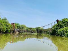 -上海吴淞炮台湾国家湿地公园