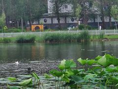 -长春市南湖公园