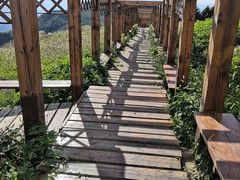 -白草畔自然风景区