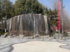 -合肥滨湖国家森林公园