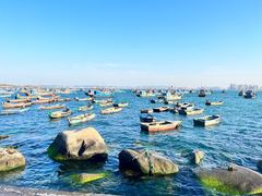 -海源公园