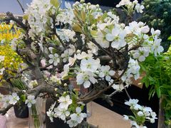 -双季花艺园艺市场(浦东店)