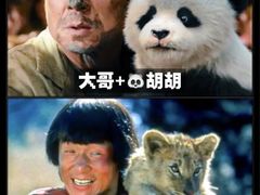 -华谊兄弟影院(IMAX洋桥店)