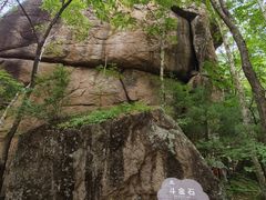 -汤旺河林海奇石景区