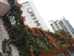 景观位-新享乐海鲜(翠华路店)