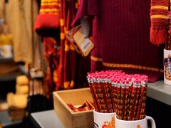-九又四分之三站台哈利波特商店