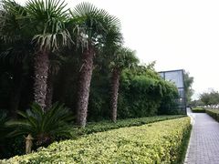 -郑东新区湿地公园