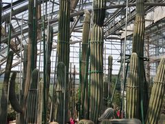 -南山植物园
