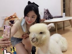 -猫色咖啡·猫咖