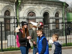 -滴血救世主教堂