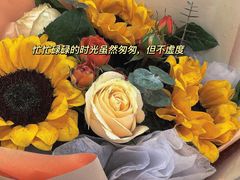 -Cetus coffee鲸鱼座咖啡·拼豆(二仙桥公园店)