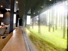 -玉苍山国家森林公园