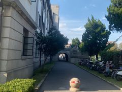 -上海财经大学(国定路校区)