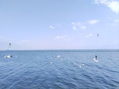 -大理洱海