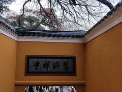 -普陀山慧济禅寺