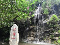 -少华山国家森林公园