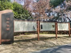 -澹台湖公园