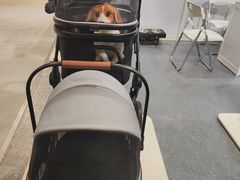 -宁波国际会展中心