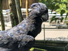 -新加坡飞禽公园