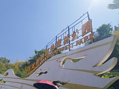 -西双版纳原始森林公园