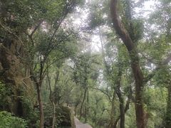 -紫金山山顶公园