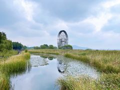 -苏州太湖湖滨国家湿地公园