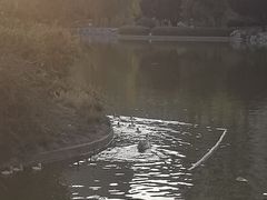 -木塔寺遗址生态公园