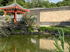 -清湖文化公园