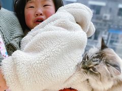 -怪兽屋·羊驼·猫咖·狗咖(俊华广场店)