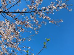 -庐山风景名胜区