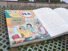 -观潮胜地公园