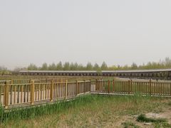 -水西公园