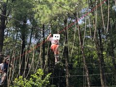 -梦幻奥陶纪景区