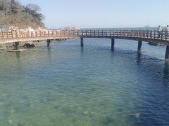 -养马岛旅游度假区