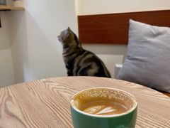 -花生咖啡 peanut coffee