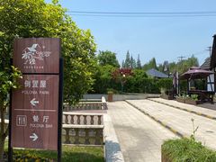 -金山农民画村-枫泾波兰倒置屋