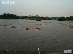 -银涛高尔夫练习场(徐泾店)