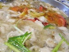 -丁月玉兔王(大渡口店)