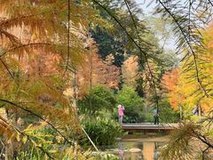 -云溪植物园