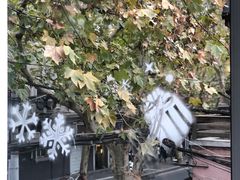 -蝶舍·MAISON PAPILLON