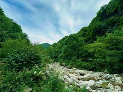-陕西省红河谷森林公园